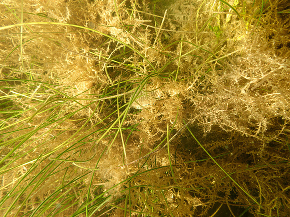 P7140753