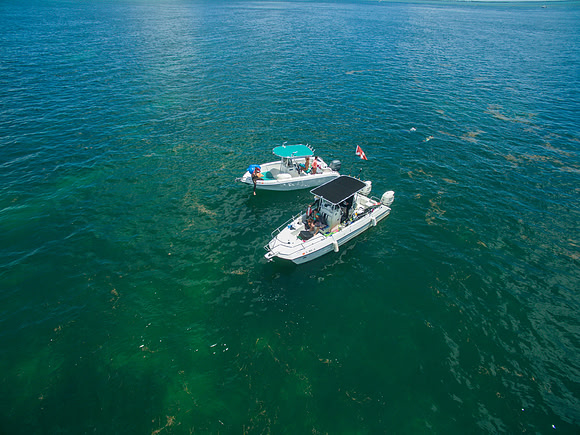 DJI_0071