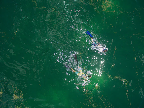 DJI_0077