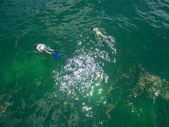 DJI_0078