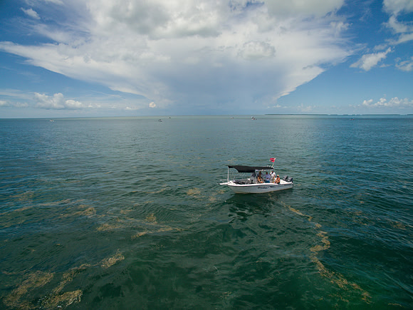 DJI_0089