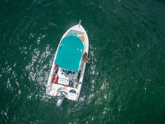 DJI_0091