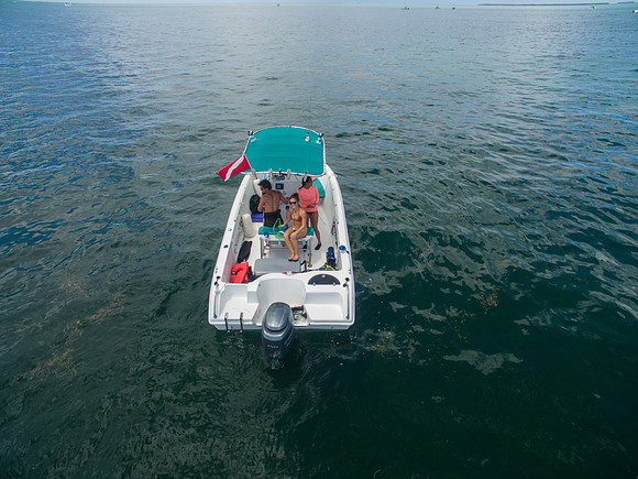 DJI_0102