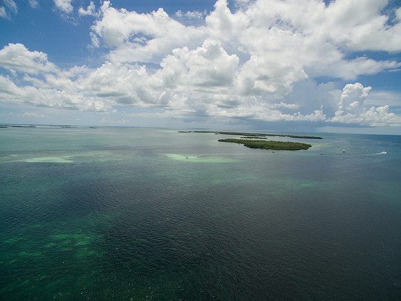 DJI_0129