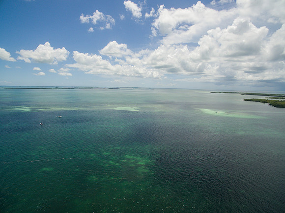 DJI_0130