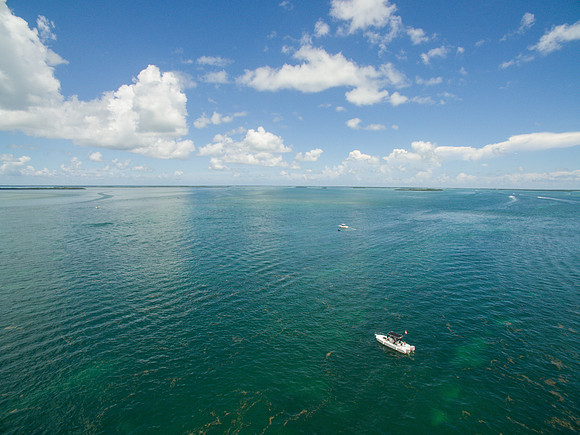 DJI_0131