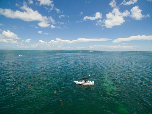 DJI_0132