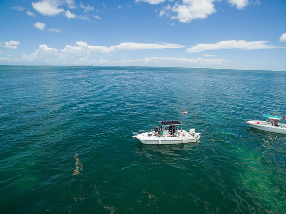 DJI_0136