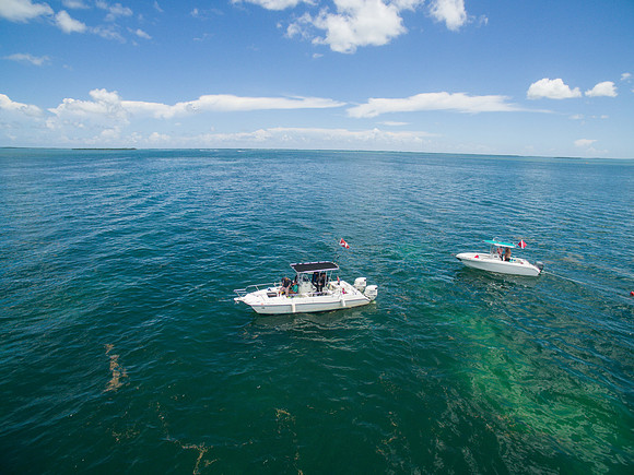 DJI_0137