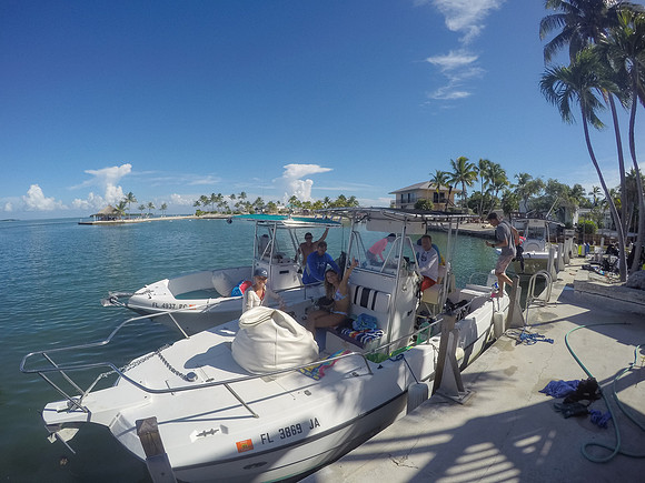 GOPR1395