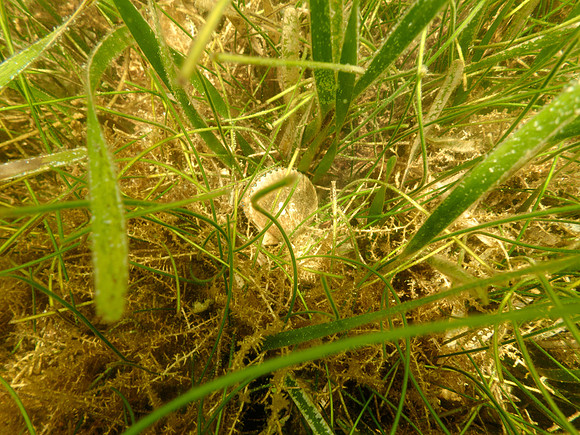 P7140741