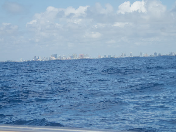 P5044534