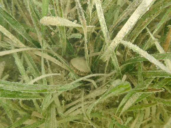 P7150766