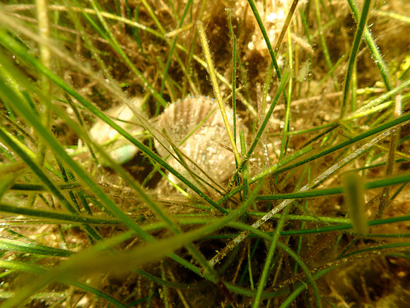 P7130621