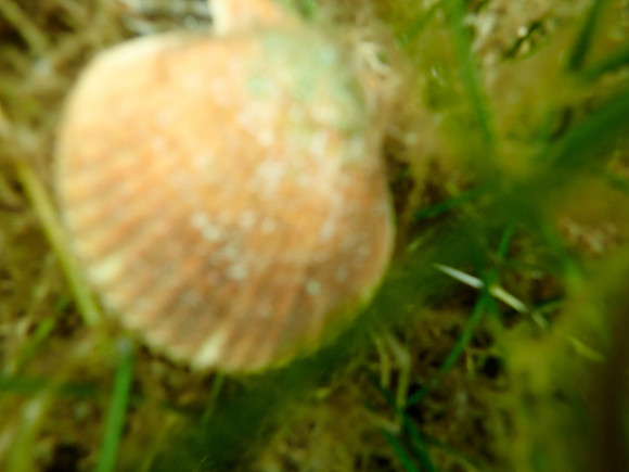 P7140731