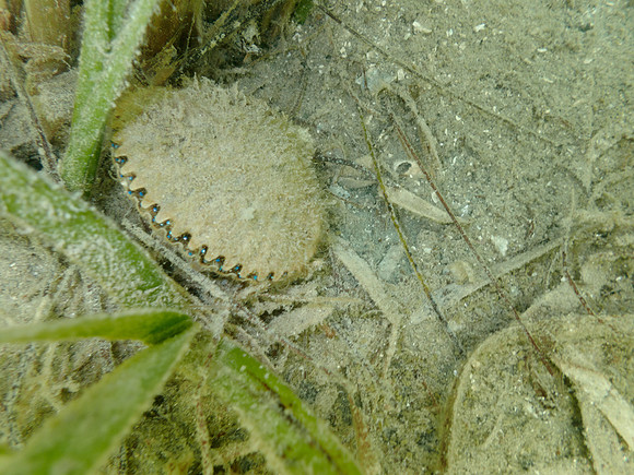 P7160841
