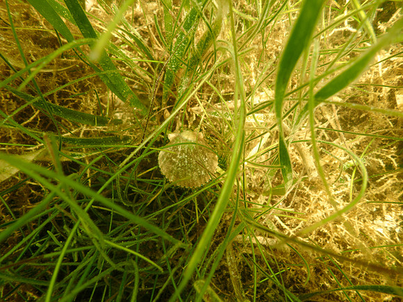P7130610