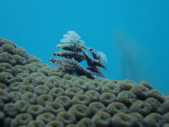 P7085002