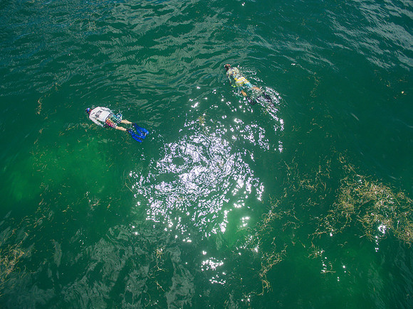 DJI_0078