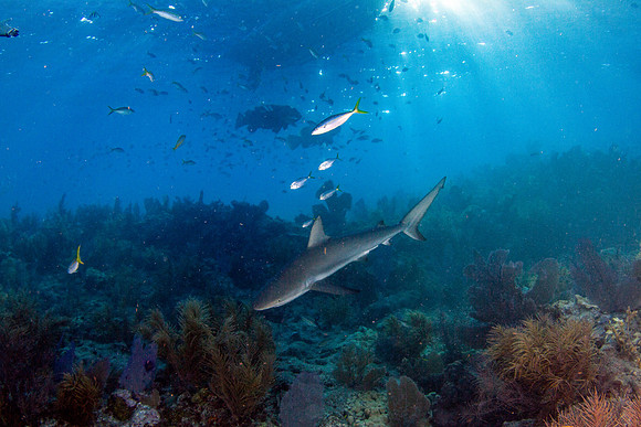 _MG_6273-Edit