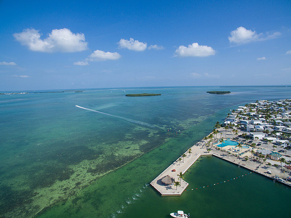 DJI_0038