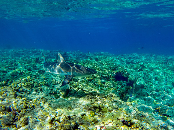 GOPR0080-Edit