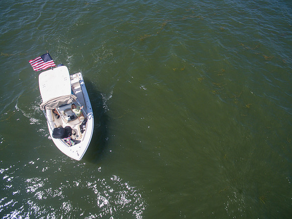 DJI_0303