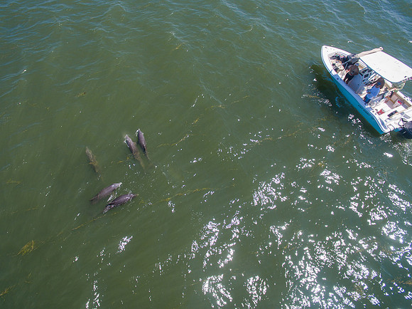 DJI_0363