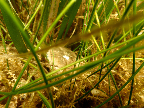 P7140739