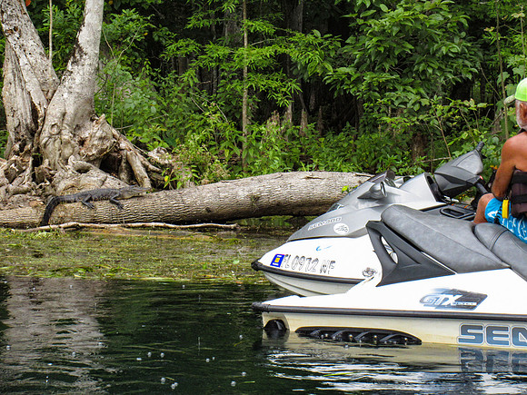 IMG_5091