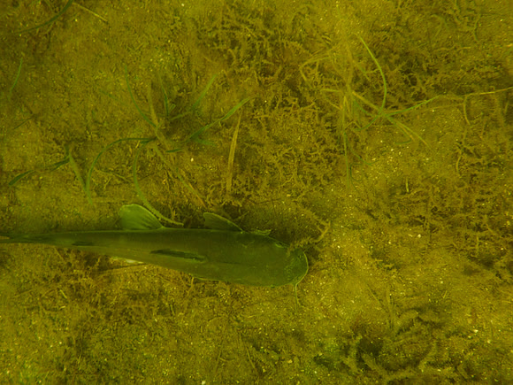 P7120565