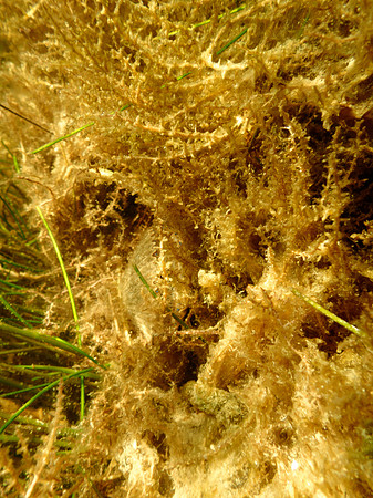 P7130634