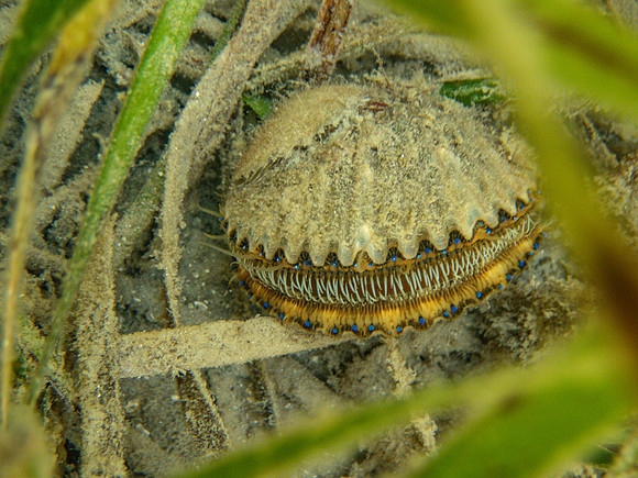 P7231081