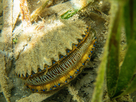 P7231083