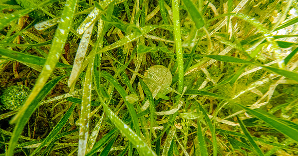 P8101139-Edit
