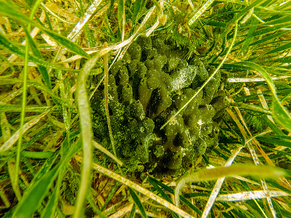 P8101141-Edit