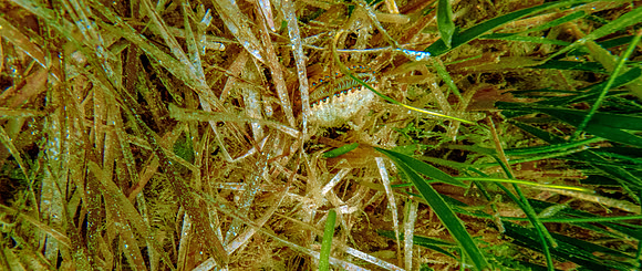 P8101148-Edit