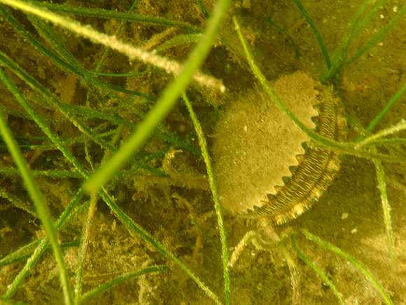 P7120551