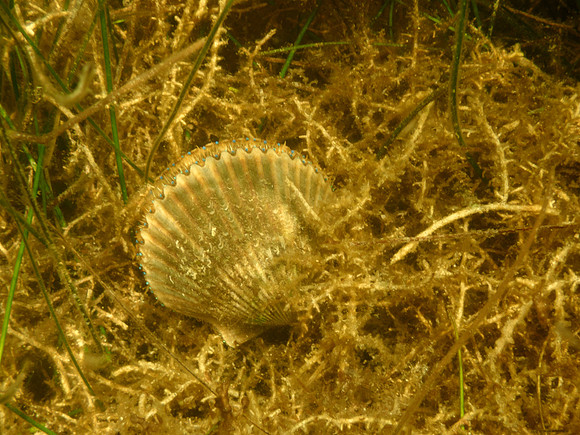 P7130607