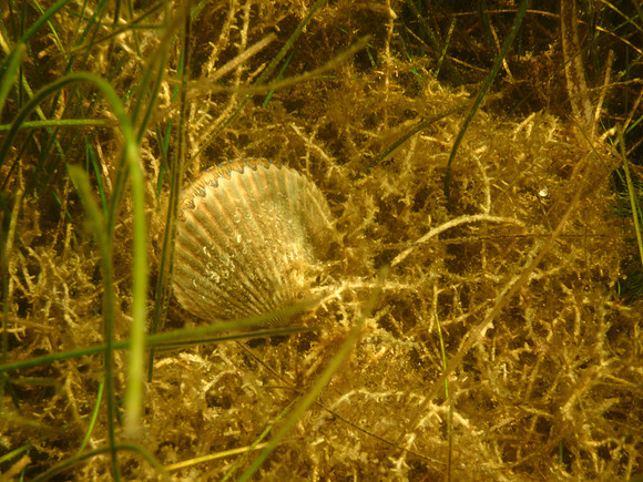 P7130605