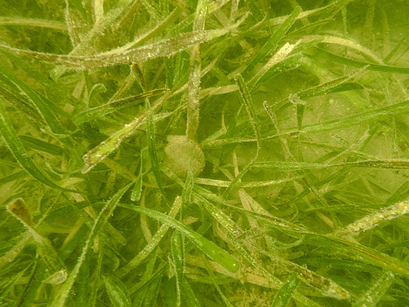 P7170866