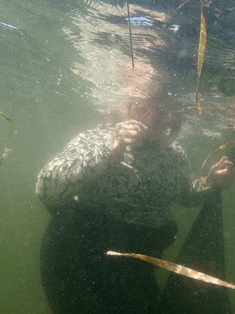 P7170881