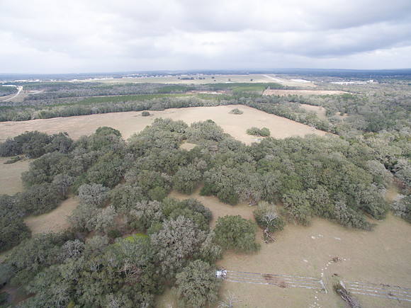 DJI_0684