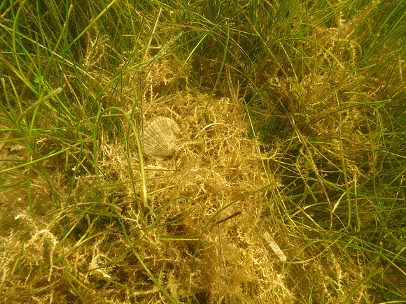P7130606