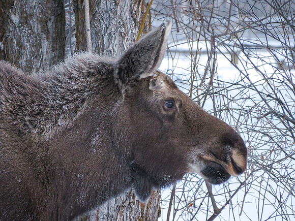 IMG_5968