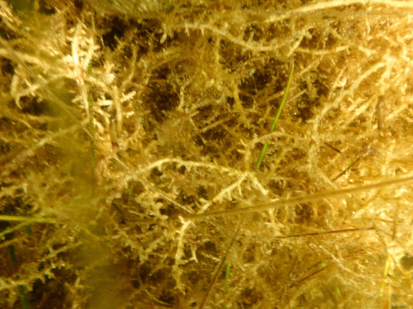P7130608