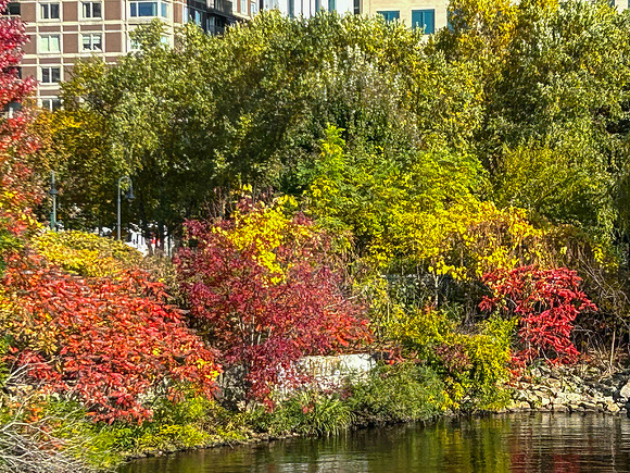 IMG_7824