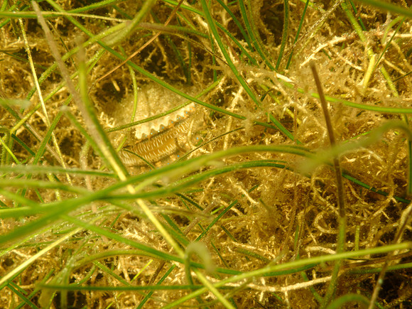 P7130641