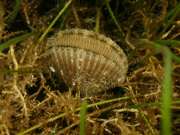 P7130649
