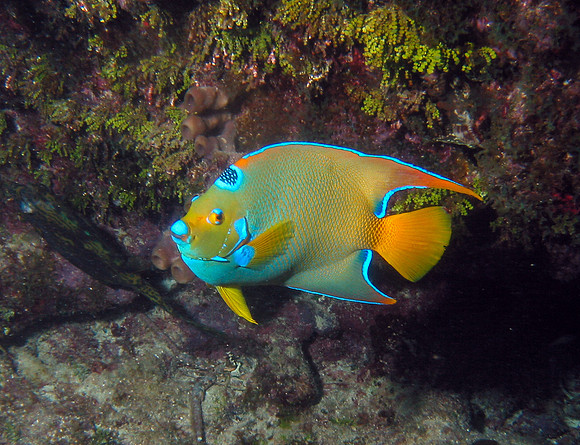 IMG_9800cropal